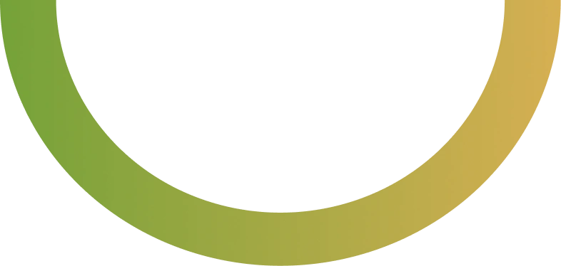Ellipse 3